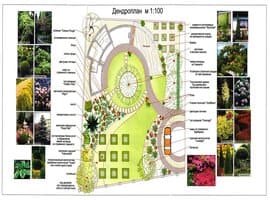 Дендроплан участка