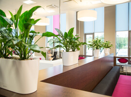 Работы по озеленению